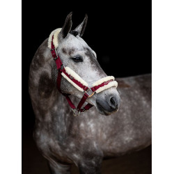 Halster en leadrope Equestrian Stockholm met bont Bordeaux Halster en leadrope Equestrian Stockholm met bont Bordeaux