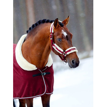 Halster en leadrope Equestrian Stockholm met bont Bordeaux Halster en leadrope Equestrian Stockholm met bont Bordeaux