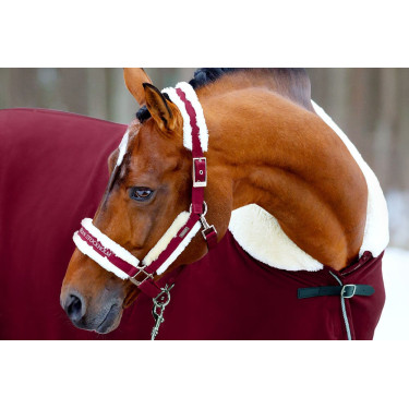 Halster en leadrope Equestrian Stockholm met bont Bordeaux Halster en leadrope Equestrian Stockholm met bont Bordeaux