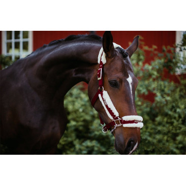 Halster en leadrope Equestrian Stockholm met bont Bordeaux Halster en leadrope Equestrian Stockholm met bont Bordeaux