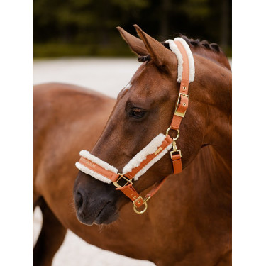 Halster en leadrope Equestrian Stockholm met bont Brons goud