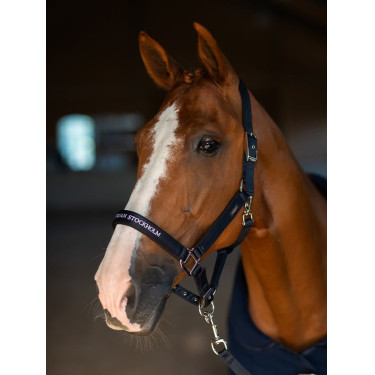 Halter en lijn Equestrian Stockholm plat Marine moderne tech
