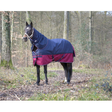 Nekstuk Equithème Tyrex 1200 D 0g Marine / bordeaux Blauw Nekstuk Equithème Tyrex 1200 D 0g Marine / bordeaux Blauw