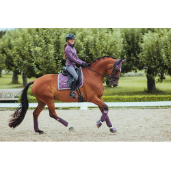 Rijbroek Equestrian Stockholm Elite dames Grijs