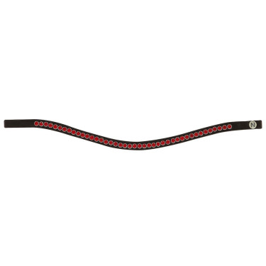 Frontaal Norton Pro Strass Frontaal Norton Pro Strass