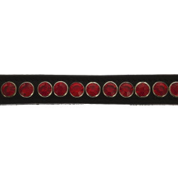 Frontaal Norton Pro Strass Frontaal Norton Pro Strass