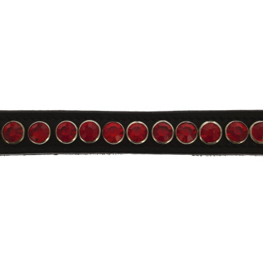 Frontaal Norton Pro Strass Frontaal Norton Pro Strass