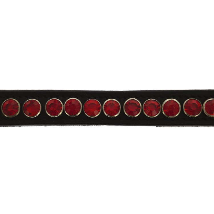 Frontaal Norton Pro Strass Frontaal Norton Pro Strass