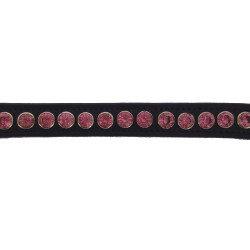 Frontaal Norton Pro Strass Frontaal Norton Pro Strass