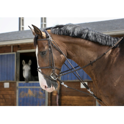 Katrolblok Riding World Zwart