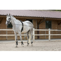 Lange teugels Riding World leer / touw Lange teugels Riding World leer / touw