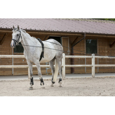 Lange teugels Riding World leer / touw Lange teugels Riding World leer / touw