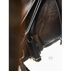 Neusbescherming Equestrian Stockholm Bruin