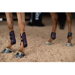 Equestrian Stockholm anatomische kogelbeschermers Zwart raven