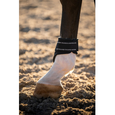 Equestrian Stockholm anatomische kogelbeschermers Marine moderne tech Marineblauw