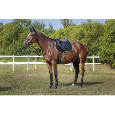 Vliegennetje Equithème Polyfun