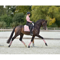 Dressuurzadeldek Equestrian Stockholm Roze parel