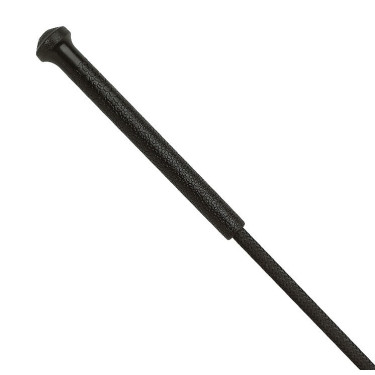 Aanspan- en trainingszweep WHIP & GO Aanspan- en trainingszweep WHIP & GO