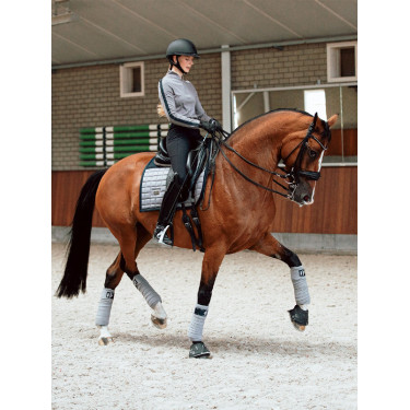 Dressuurdekje Equestrian Stockholm Performance Sportieve blauwe essenhout