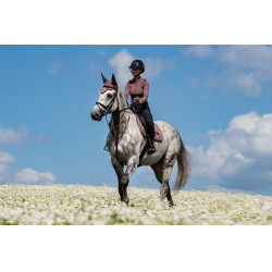 Equestrian Stockholm springzadelpad Amaranthe Equestrian Stockholm springzadelpad Amaranthe