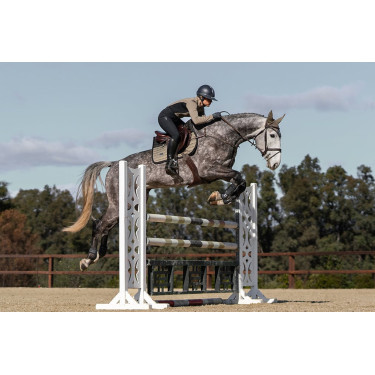 Zadeldoek Equestrian Stockholm jumping performance Chantelle Zadeldoek Equestrian Stockholm jumping performance Chantelle