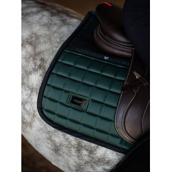 Zadeldoek Equestrian Stockholm jumping performance Sycomoregroen