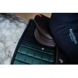 Zadeldoek Equestrian Stockholm jumping performance Sycomoregroen