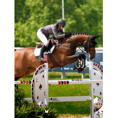 Equestrian Stockholm springzadelpad Modern Donker paars wit