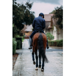 Heren bomberjack Equestrian Stockholm Marine Marineblauw Heren bomberjack Equestrian Stockholm Marine Marineblauw