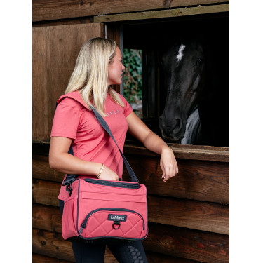 LeMieux ProKit Lite Grooming poetstas Veenbes Roze