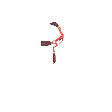 Vogue halster voor speelgoed Mini Pony LeMieux