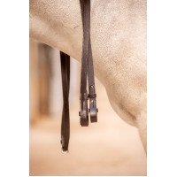 Teugels Eden Pénélope Havana Bruin