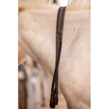 Teugels Eden Pénélope Havana Bruin