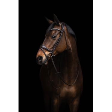 Hoofdstel Arezzo Lauria Garrelli Donkerbruin