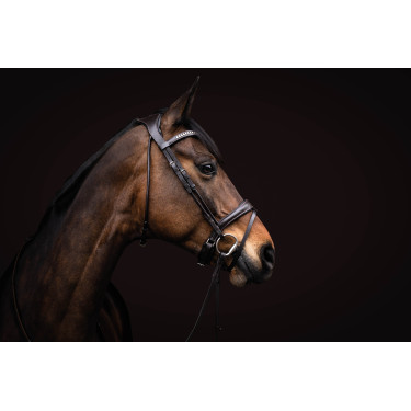 Hoofdstel Arezzo Lauria Garrelli Donkerbruin