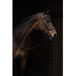 Hoofdstel Arezzo Lauria Garrelli Donkerbruin