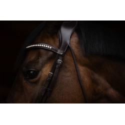 Hoofdstel Arezzo Lauria Garrelli Donkerbruin