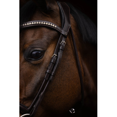 Hoofdstel Arezzo Lauria Garrelli Donkerbruin