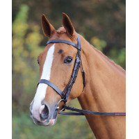 Bridon Aviemore Shires Noir