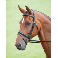 Bridon Bodenham Salisbury Shires Zwart