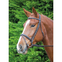 Bridon Comfort Fit Aviemore Shires Havana Bruin