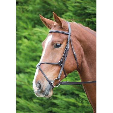 Mexicaanse hoofdstel Aviemore Shires Havana Bruin Mexicaanse hoofdstel Aviemore Shires Havana Bruin