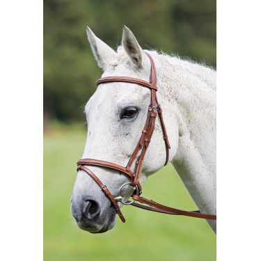 Hoofdstel met Mexicaanse neusriem Raised Flash Avignon Shires Eik Bruin Hoofdstel met Mexicaanse neusriem Raised Flash Avignon Shires Eik Bruin