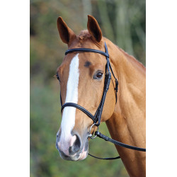 Bridon muserolle française Aviemore Shires Noir Bridon muserolle française Aviemore Shires Noir