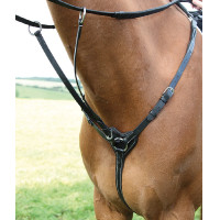 Borsttuig 3 punten Salisbury Shires Zwart