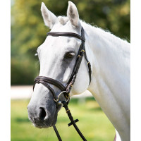 Tattini hoofdstel met gecombineerde verhoogde neusriem Bruin