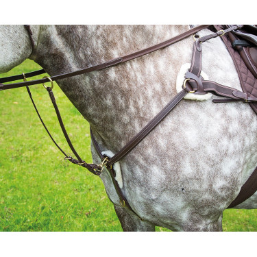 Borsttuig 5 punten Salisbury Shires Havana Bruin