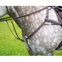 Borsttuig 5 punten Salisbury Shires Havana Bruin