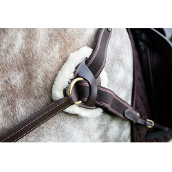 Borsttuig 5 punten Salisbury Shires Havana Bruin