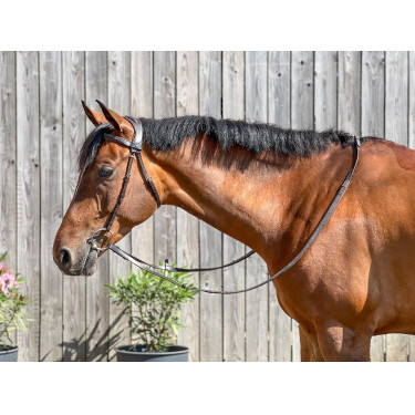 Hoofdstel T de T Essentiel Comfort Donker Havana Bruin Hoofdstel T de T Essentiel Comfort Donker Havana Bruin